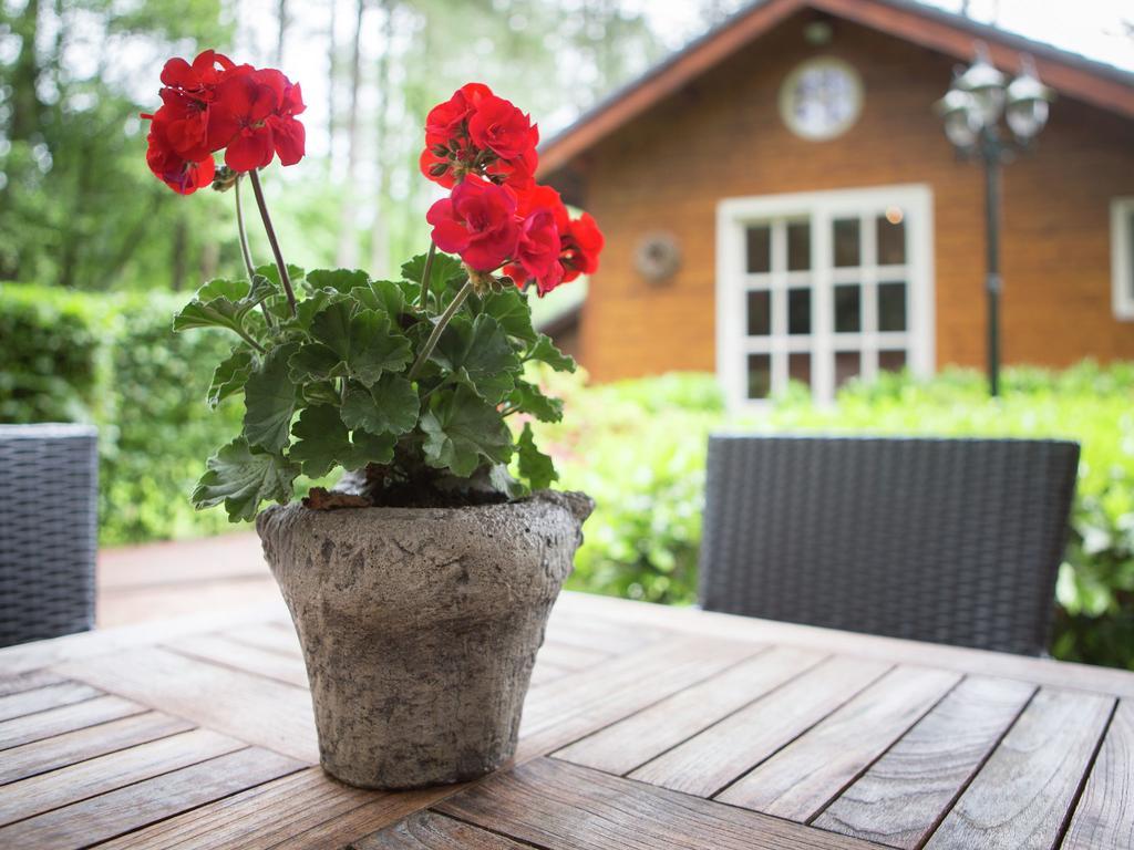הוילה אאוד - טורנהוט Luxurious Chalet In Oud Turnhout With Large Garden מראה חיצוני תמונה